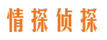 吴川市场调查